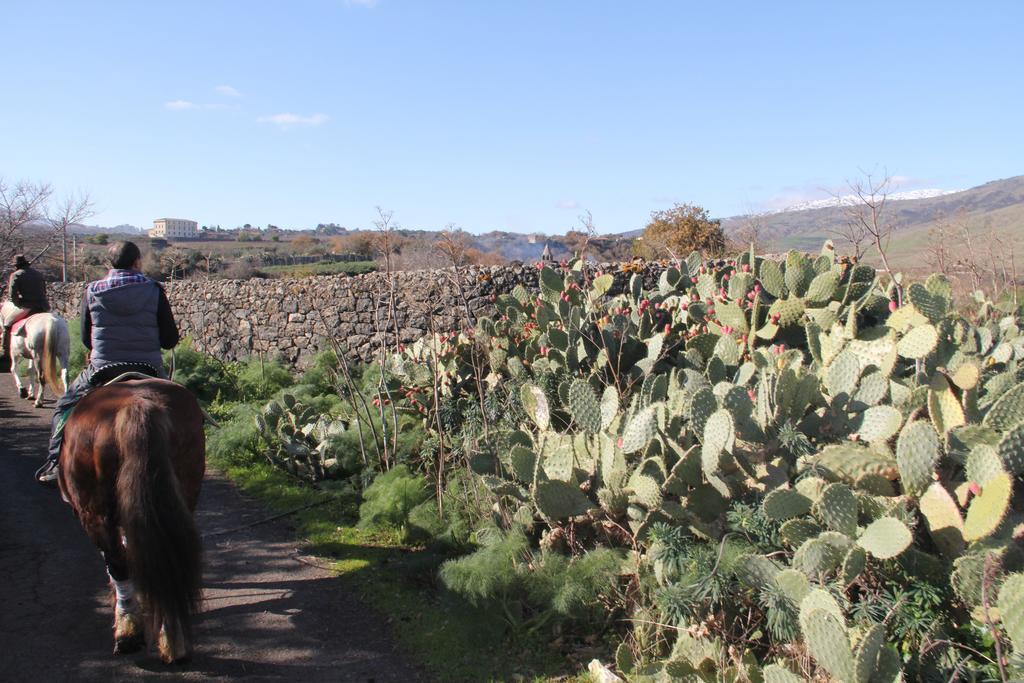 Agriturismo Borgo San Nicolao 란다조 외부 사진
