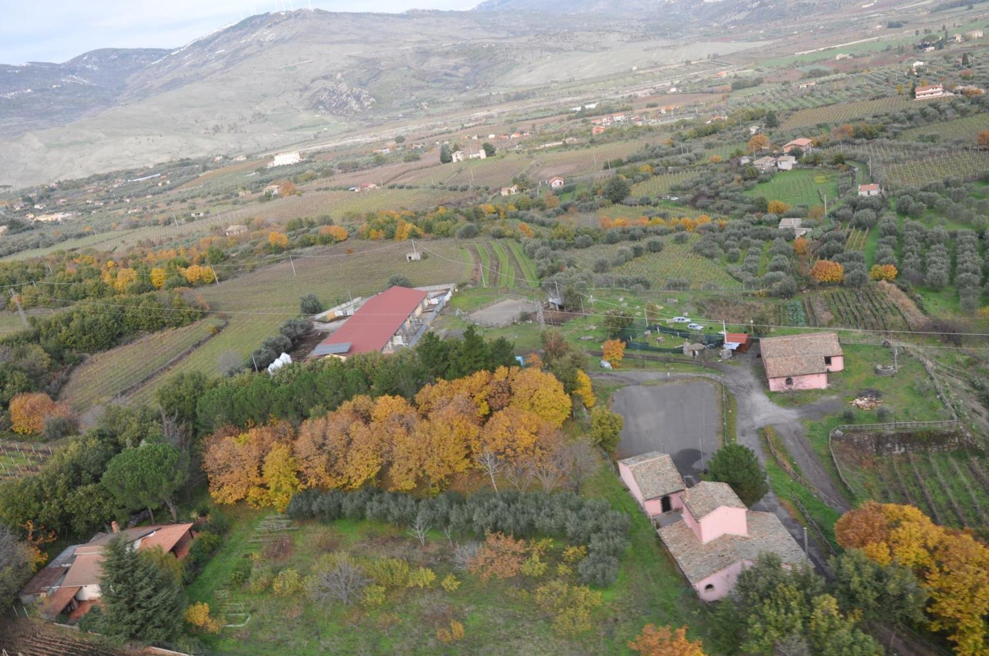 Agriturismo Borgo San Nicolao 란다조 외부 사진